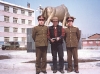 army